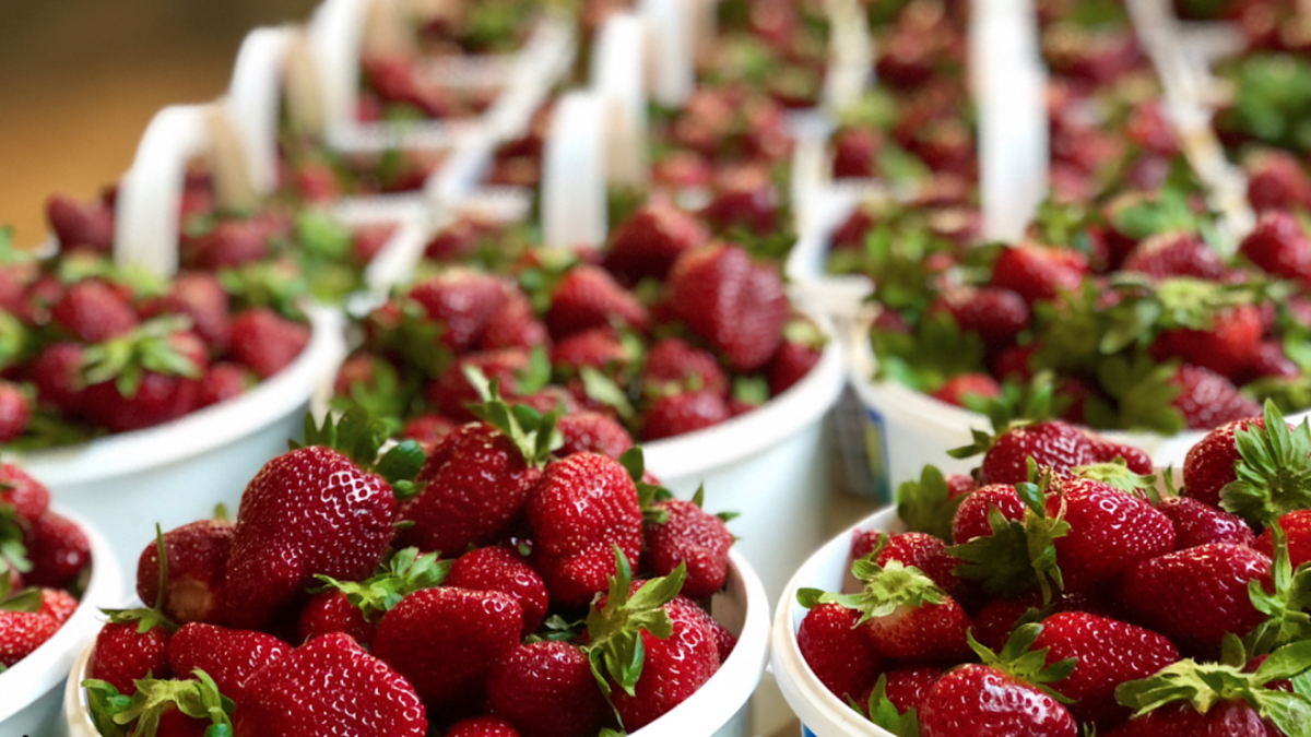 Back to the Market Pepper Place